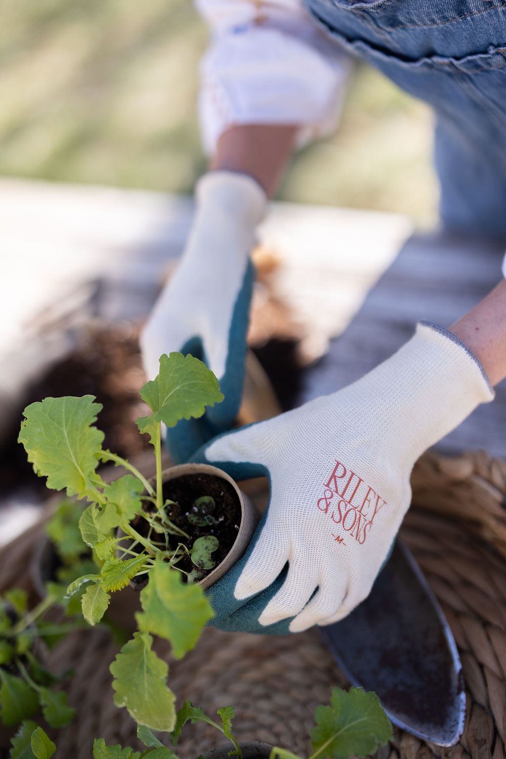 Person wearing gloves holding a veggie start with a blurred background