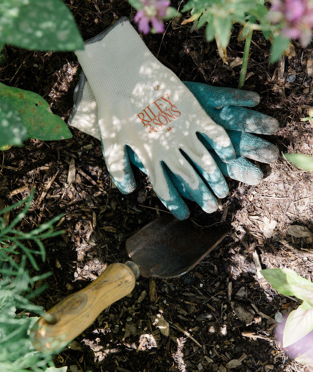 Gardening glove and trowel on garden soil with plants around
