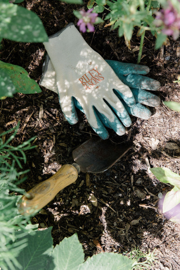 Ditch the plastic and join our gardening revolution.